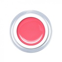 Blossom - Product Image 2