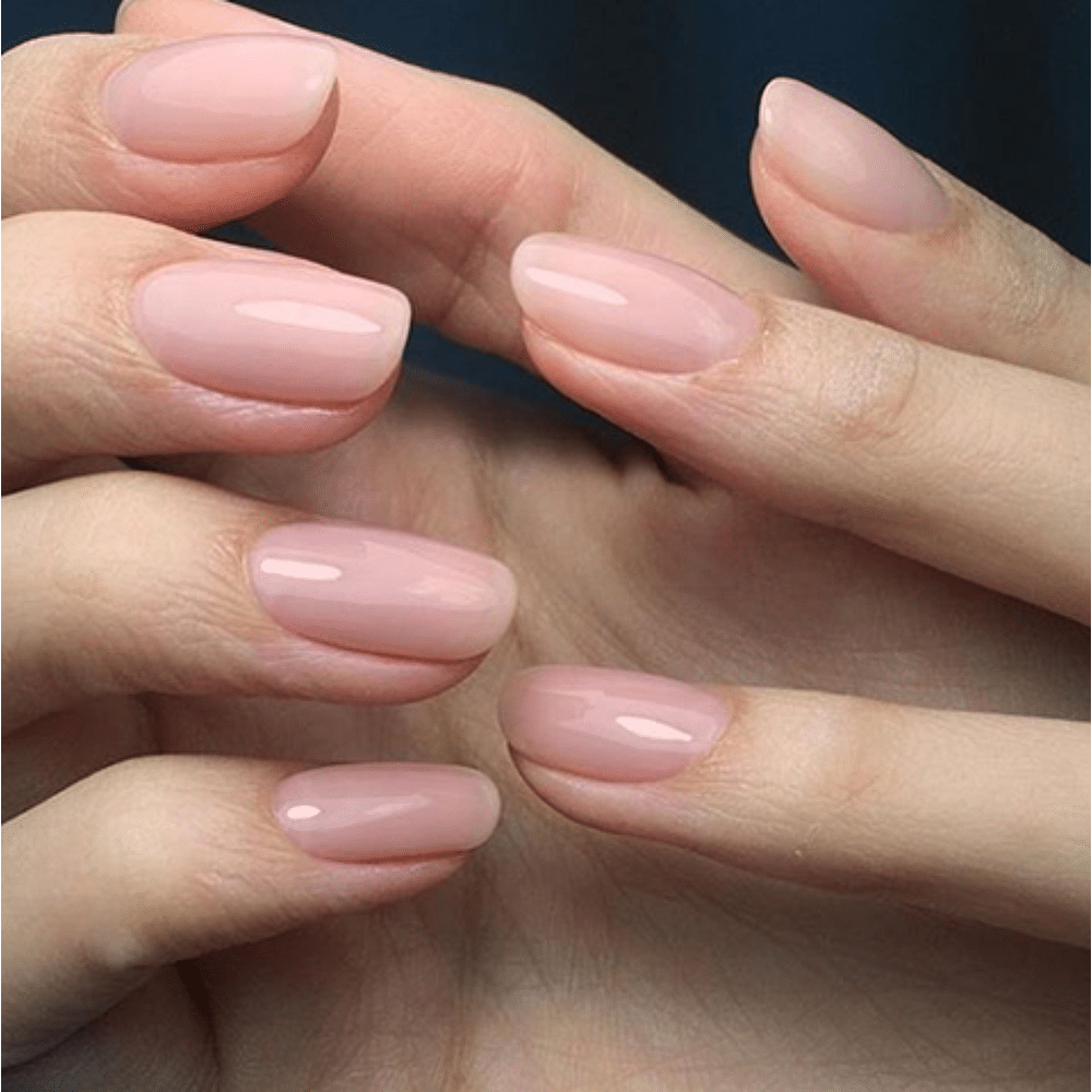 Blush - Product Image 2