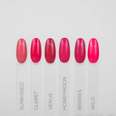 Gel Polish BERRIES 9ml