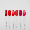 Gel Polish DANCE 9ml