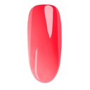 Watermelon Gloss