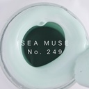 Gel Polish N°249 SEA MUSE 10ml