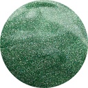 Gel Polish N°261 ARTEMIS' EMERALD 10ml