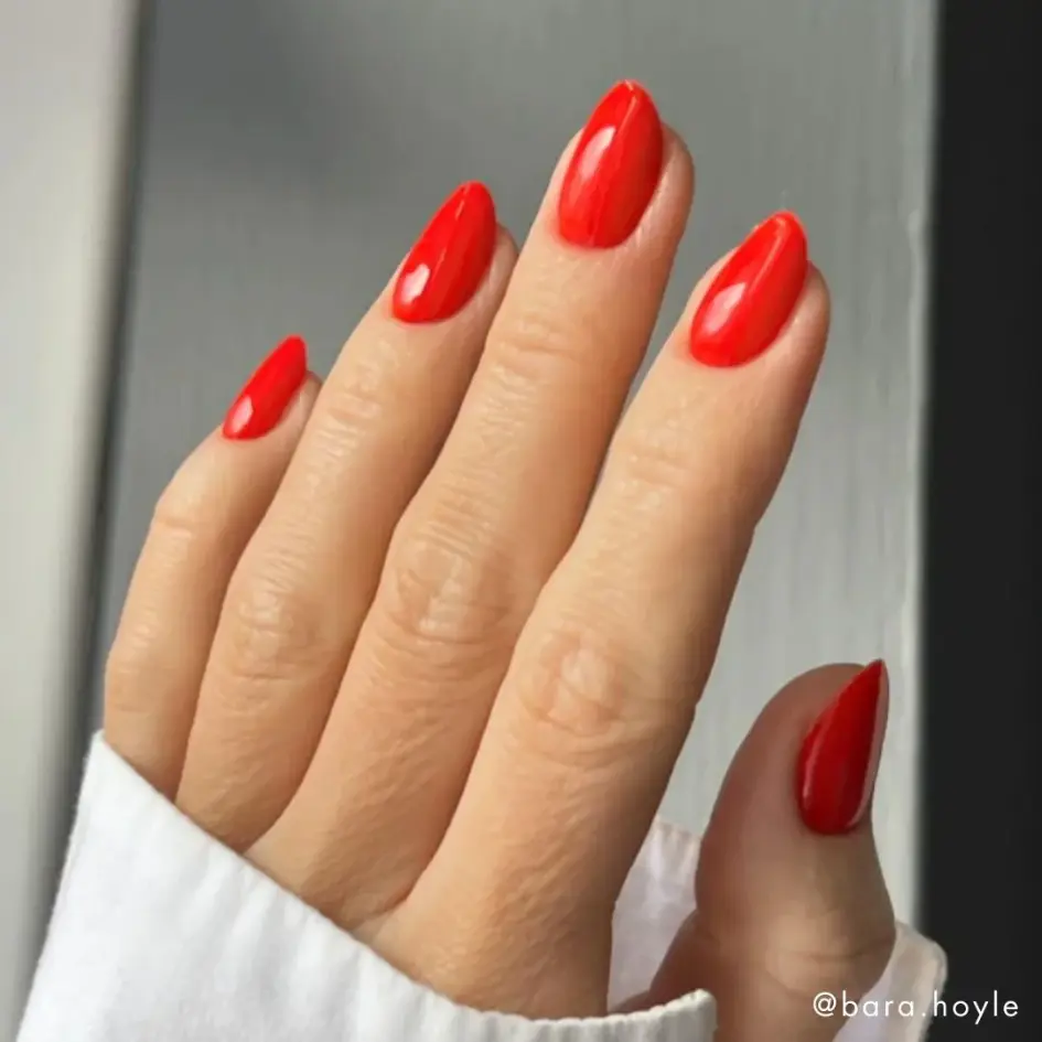 VIVA ITALIA (3).webp