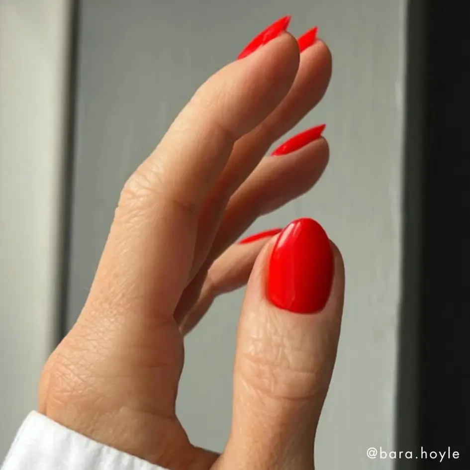 VIVA ITALIA (2).webp