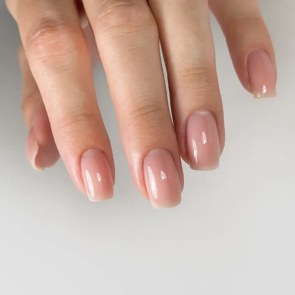 FIBER BASE SAIN (4).webp