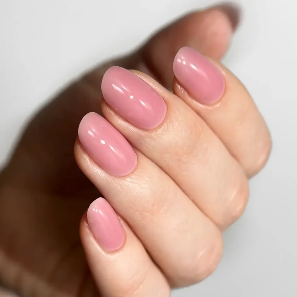 GUMMYBASE FUDGE (1).webp