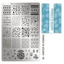 Stamping Plate Winter is Coming 1