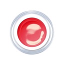 Pomegranate 5ml