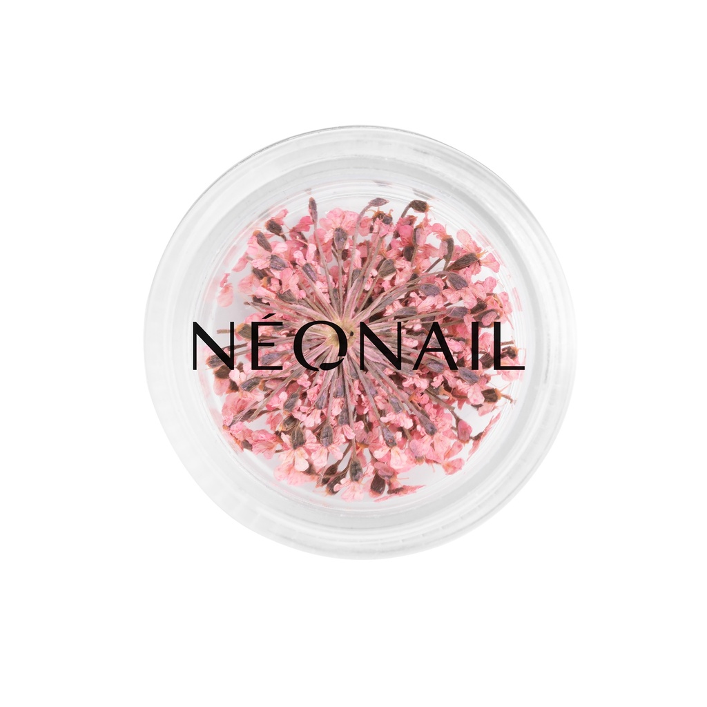 Dried Flowers 01 - Pink 