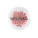 Dried Flowers 01 - Pink 