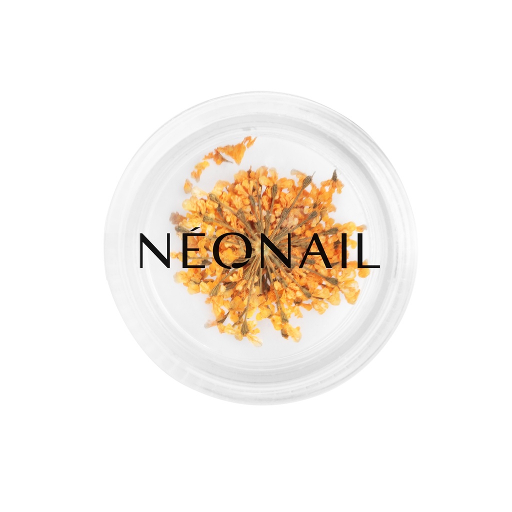 Dried Flowers 03 - Orange 
