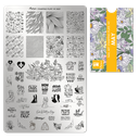 Stamping Plate May