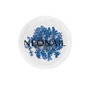 Dried Flowers 04 - Blue