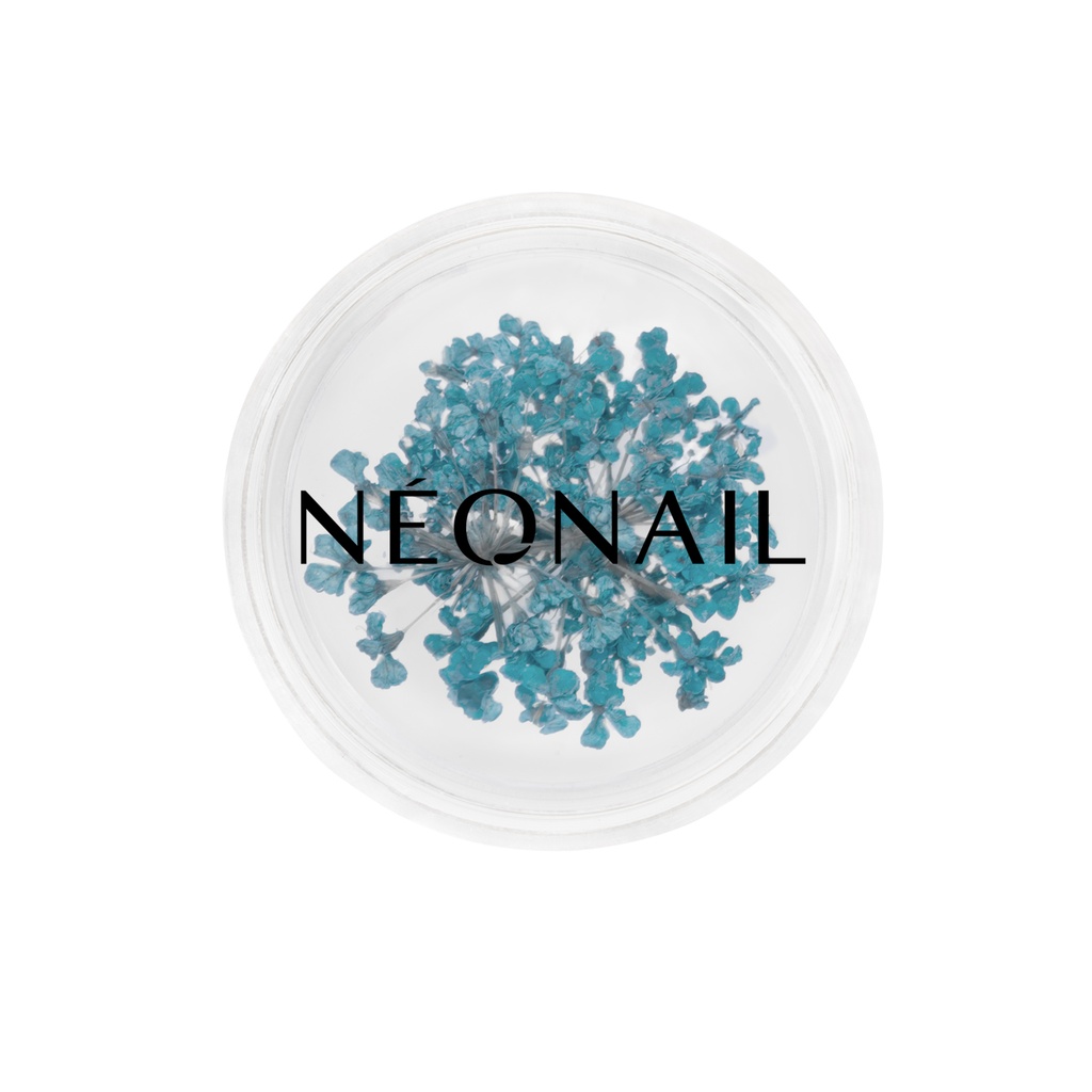 Dried Flowers 05 - Turqouise