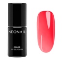 Watermelon Gloss 7,2ml