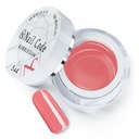Bubblegum 5ml