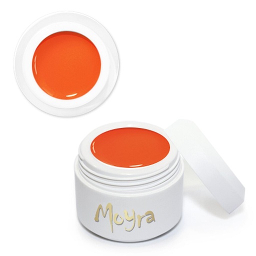 [MPA06] Painting Gel Vivid Orange