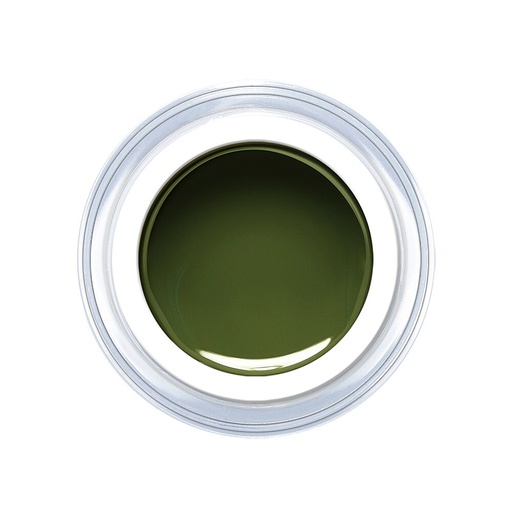 [C301] Navy Green 5ml