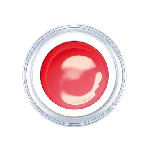 [C233] Pomegranate