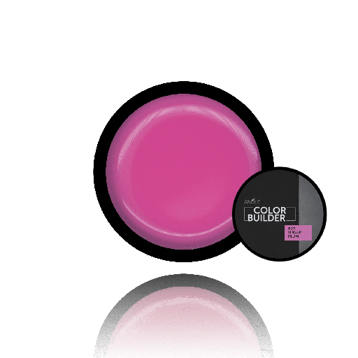 [CBG27] Color Builder Gel 27 Sugar Plum 20ml