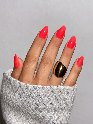 [TS603] T-Gel Color #081 (15gr)