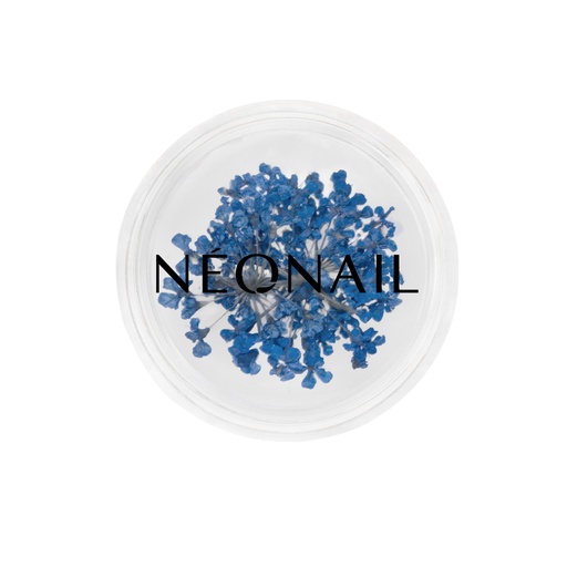 [N11085] Dried Flowers 04 - Blue