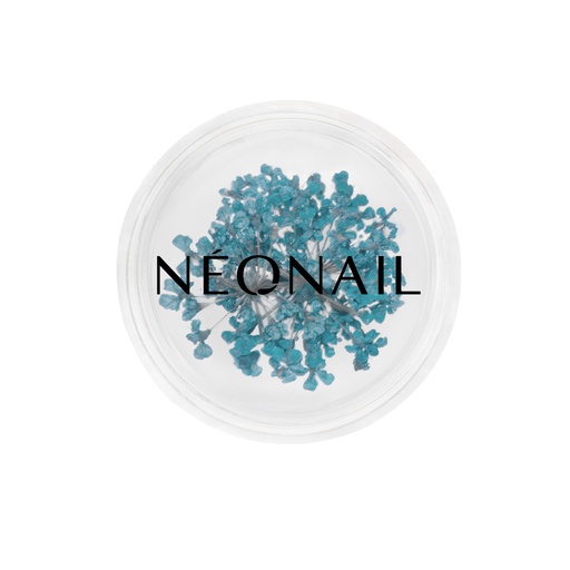 [N11086] Dried Flowers 05 - Turqouise