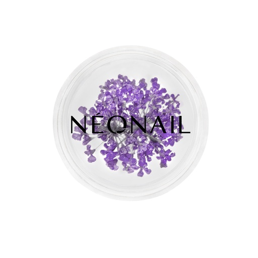 [N11087] Dried Flowers 06 - Purple