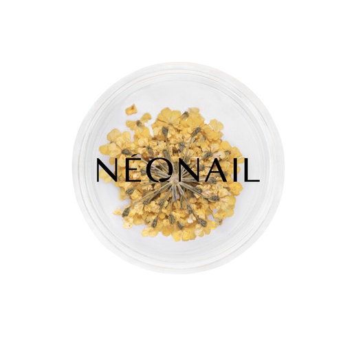 [N11088] Dried Flowers 07 - Yellow