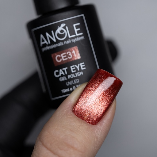[AGP199] Gelpolish CE31 Cat Eye 10ml