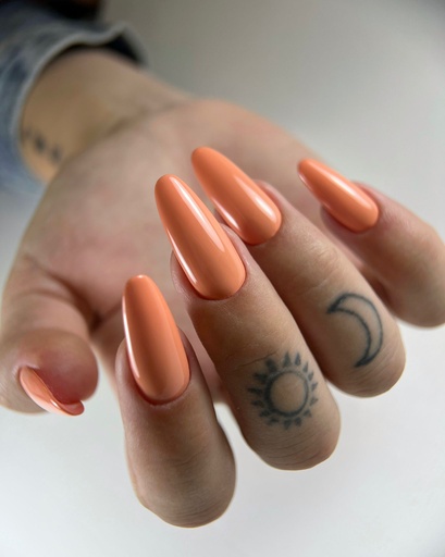 [AGP221] Gelpolish D13 Delicate 10ml