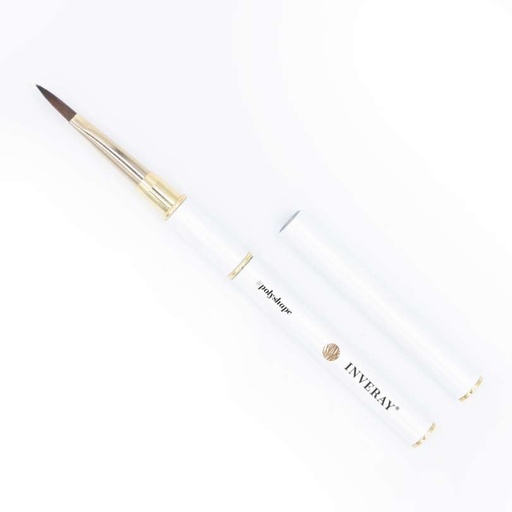 [IV211] PolyShape Dual Brush 