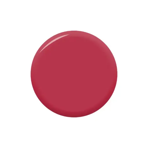 [TW406] Gel Colour BERRY SORBET 18ml