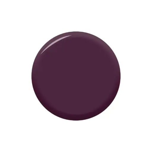 [TW446] Gel Colour AUBERGINE 18ml HEMA FREE