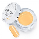 Pastel Peach 5ml