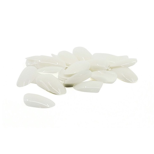 [TP05] Display Tips Round 500pcs