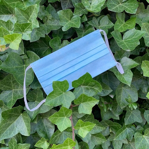 [H059] Ecologische Mondmaskers 50 stuks