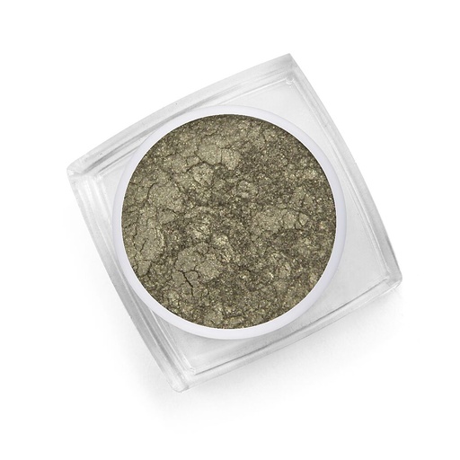 [PG19] Pigment Powder Olive
