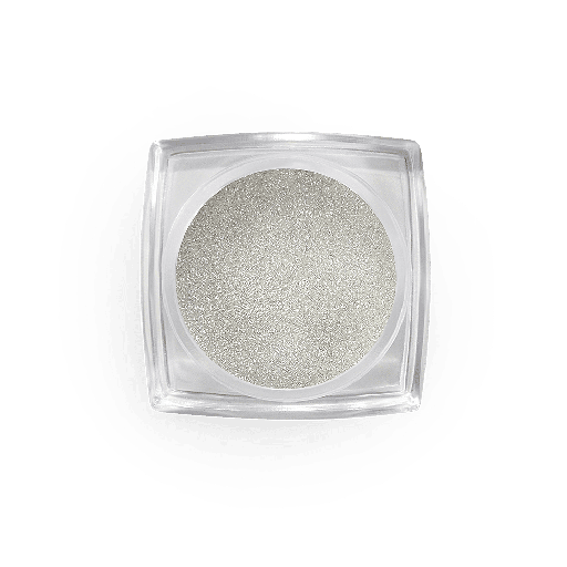 [PG45] Pigment Powder Silver