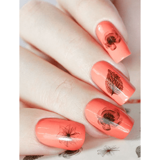 [WD003] Waterdecal N1081